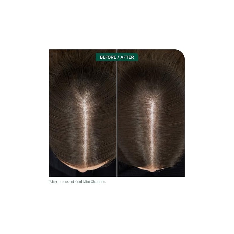 BIOLAGE Bioalge Scalpsync Cooling Mint Shampoo For Oily Scalp, 13.5