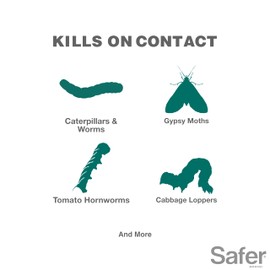Safer Brand Caterpillar Killer II Concentrate - OMRI Listed for Organic Use - Organic Insect Killer - 16 fl oz bottle - 5163-6