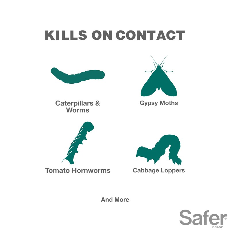 Safer Brand Caterpillar Killer II Concentrate - OMRI Listed for