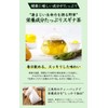 Natural Feast Horsetail Tea Bag Made in Japan Cedar Green