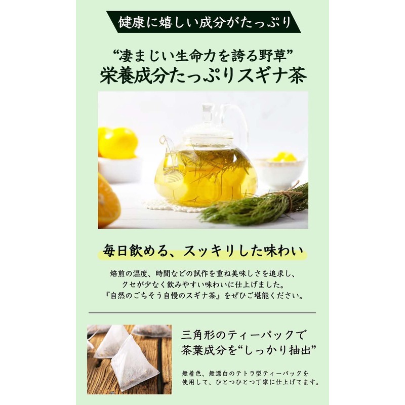 Natural Feast Horsetail Tea Bag Made in Japan Cedar Green