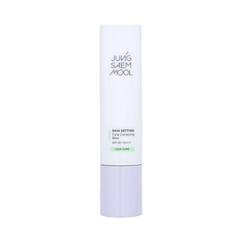 JUNGSAEMMOOL Skin Setting Tone Correcting Base 40ml Red Skin Makeup Base Tone Up Sun Cream, Skin Setting Tone Correcting Base 40ml / 정샘물 스킨 세팅 톤 코렉팅 베이스 40ml 홍조피부 메이크업베이스 톤업선크림, 스킨 세팅 톤 코렉팅 베이스 40ml