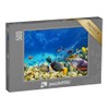 puzzleYOU: Puzzle 500 Piece Underwater World with Coral and Tropical