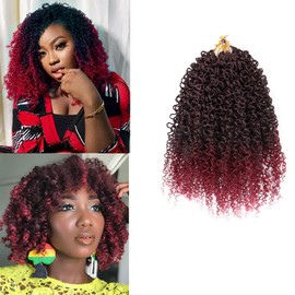 XGY Hair 12 Inch Yanky Twist Crochet Hair Pre Looped Ombre Burgundy Yankee Twist Crochet Hair Short Mini Two Strands Twist Hair for Black Women Micro Burgundy Passion Twist Crochet Hair (1B/BUG)