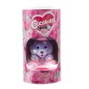 Coccolotti, Love & Tell CCL153 Interactive Bear with Light and