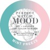 LeChat "Mint Freeze - Dare to Wear Nail Lacquer MOOD