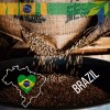BRAZIL CERRADO COFFEE BEANS UNROASTED-GREE - 1/2lb