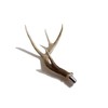 Real Whitetail Deer Antler Beer Tap Handle for Kegerators Keezers