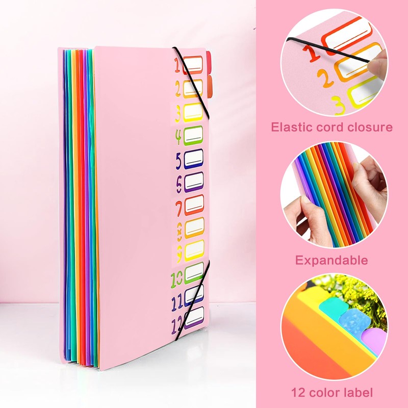 Gemtte Expanding File A4, Folder System with 12 Compartments, 24