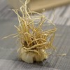 Chamdoori Chongbaek Green Onion Root 300g (domestic) / 참두리 총백