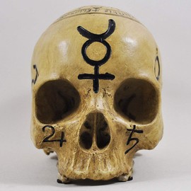 Skull Witchcraft Skull Decorative Figurine