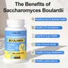 Saccharomyces Boulardii Probiotics 200 Billion CFUs, Clinically-Studied Probiotic for Women