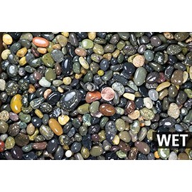 3 Lbs. Large Beach Pebbles for Bonsai Humidity/Drip Tray, Top Dressing, Lucky Bamboo & Zen/Fairy Garden