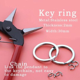 KUIYAI Squirrel Gift Squirrel Keychain Squirrel Lover Gift Easily Distracted By Squirrels (distracted by squirrel UK)