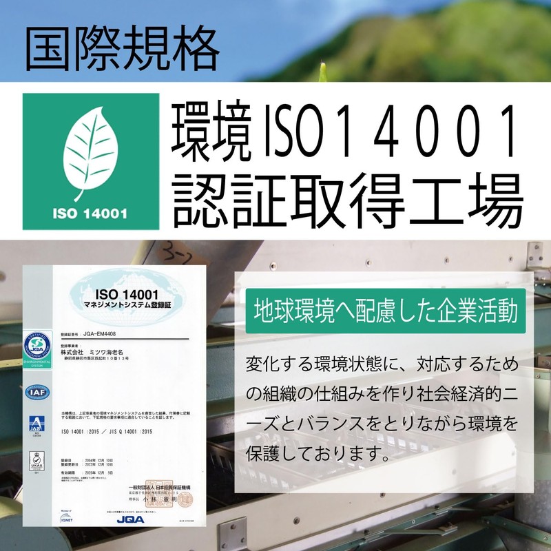 Green Tea Powder 3.2 oz (90 g) x 1 Pack