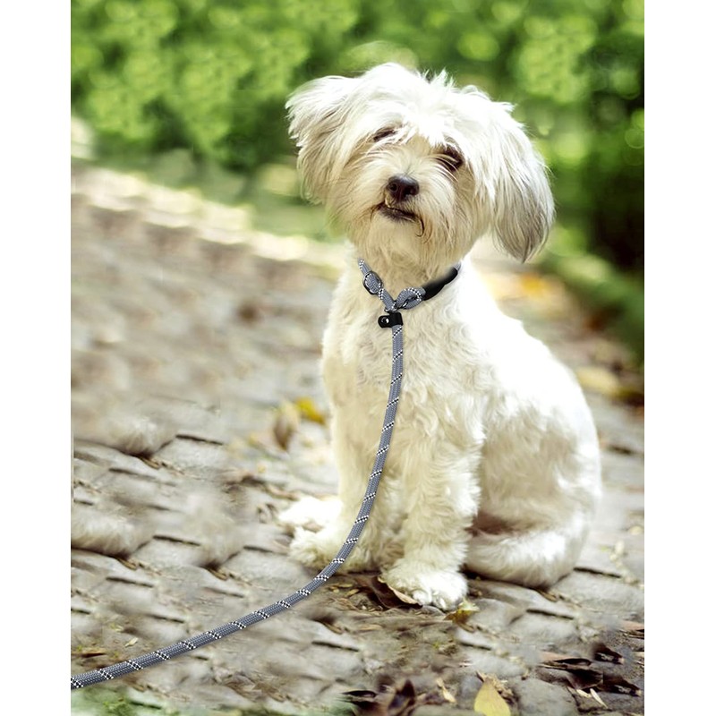 TagME Slip Lead for Dogs,1.8m Reflective Dog Lead with Soft