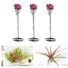 10Pcs Tabletop Planter Fashionable Air Plant Stand Holder Container Display