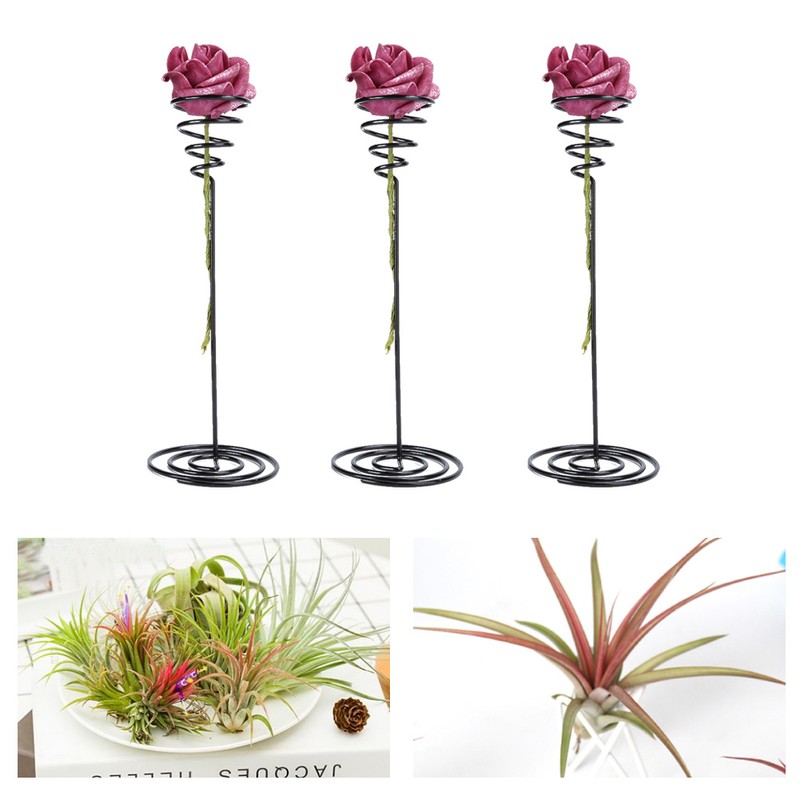 10Pcs Tabletop Planter Fashionable Air Plant Stand Holder Container Display