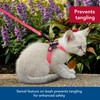 Coastal - Li’l Pals Adjustable Kitten Harness and Leash Combo