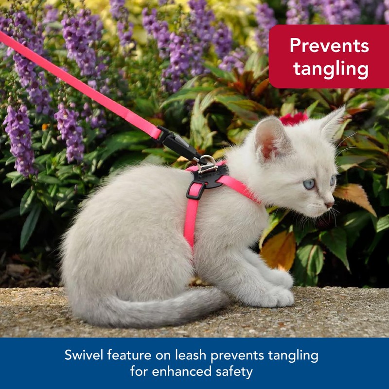 Coastal - Li’l Pals Adjustable Kitten Harness and Leash Combo