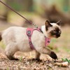 Cat Harness, Cat Harness and Leash Set, Soft and Breathable