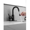 Black Bathroom Sink Faucet with Pull Out Sprayer for 1
