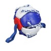 Interactive Outdoor Fly Ball Flying Saucer Ball Interesting Dog Soccer