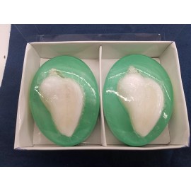 Taymor 2PC Decorative Dermatological