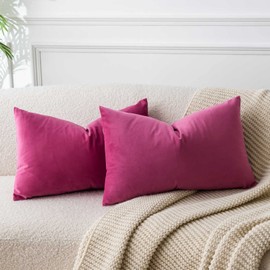JUSPURBET Decorative Pillow Covers Set of 2 Velvet Throw Pillow Covers for Couch Sofa Bed Soft Lumbar Cushion Covers with Hidden Zipper for Living Room Home Decor,Rose Red,14x24 inch