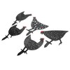 5Pcs Chicken Stakes Set Acrylic Animal Shape Statues Decoration for