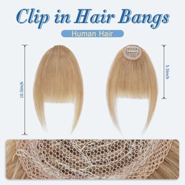 SLEEKALON Clip in Bangs Human Hair Wispy Bangs Blonde Bangs Clip On Fake Bang Real Hair Bangs Fringe with Temples Full Bangs Flat Bangs Hairpiece for Daily Wear Women(#27-Dark Blonde)