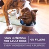 Purina ONE High Protein Dry Senior Dog Food Plus Vibrant