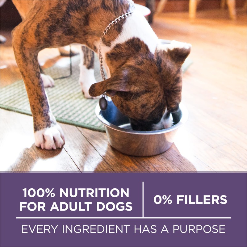 Purina ONE High Protein Dry Senior Dog Food Plus Vibrant