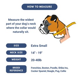 Spark Paws Tactical Dog Collar - Heavy Duty, Premium Quality, Thick and Durable for Large and Medium Dogs - Purple - XS - 1"