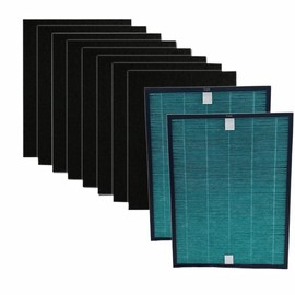 CAN-MEAGEREN Replacement H13 HEPA Filter Compatible with Coway Airmega 150, Airmega 160 (AP-1019C-FP) Air Purifier (2HEPA+8Pre-filters)