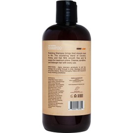 Pierres Apothecary PA Coconut and Honey Polishing Shampoo 16 oz