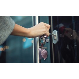 AuPra Black Leaf KeyRing Gift Women & Men Leather KeyChain Home Car Door Keys Holder Ladies Present