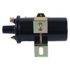 NETYANPI 6 or 12 Volt Electrical Ignition Coil D4PE12029AA 160-01005