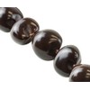 Hawaiian Kukui Nut Brown Shell 32" Necklace