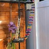 DS. DISTINCTIVE STYLE Bird Ladder Toys Coloured Flexible Parrot Swing