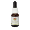 Red Helmet Orchid 15 ml Stockbottle Australian Bush Flower Essences