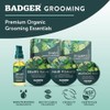BADGER Beard Grooming Kit, 1 Each