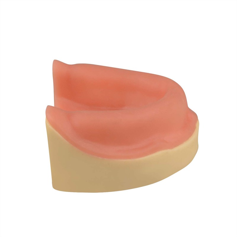 Ultrassist Dental Implant Training Maxillary Edentulous Model, Simplified Maxilla with