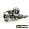 Torx w/Pin Tamper Proof Security Pan Self Driller TEK-3 Screw