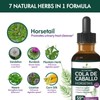 Selvaherb Horsetail Herb (Cola de Caballo Hierba) Drops for Body