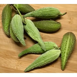 Our Nesting Box 5 MilkWeed Seed Pods W/ Seeds ~ Arts & Crafts~Floral Arrangements~Pesticide Free