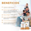 BIO B | Probióticos 25 billones UFC + prebióticos |