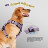 FAYOGOO Dog Harness, No Choke Front Clip Dog Reflective Harness,