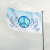 Runesol Peace Flag, 91x152cm, 3ftx5ft, World Peace Banner, Dove Flag,