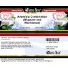 Artemisia Combination (Mugwort and Wormwood) - Salve Ointment (2 oz,